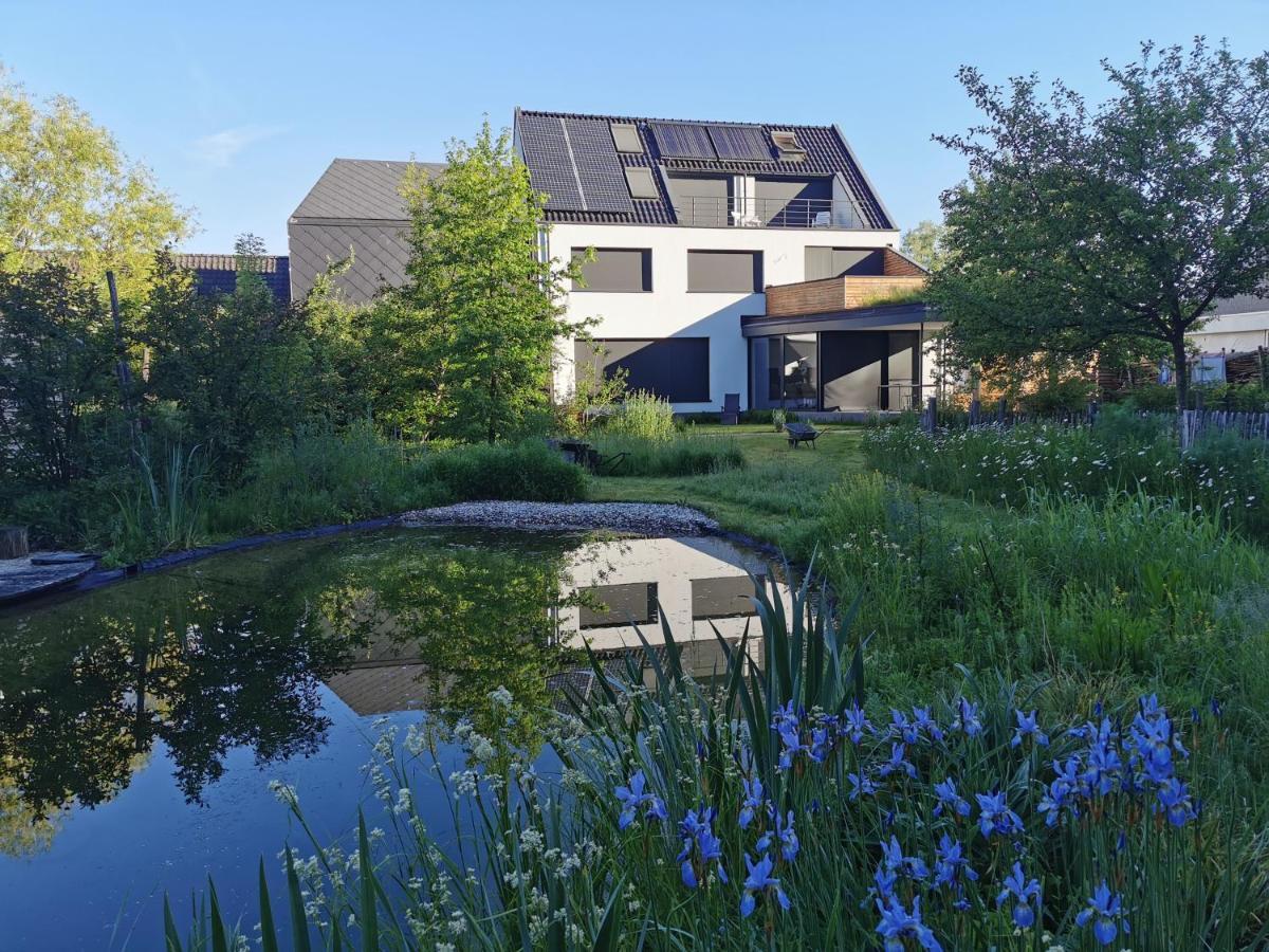 Scrab&Ble Ecologische Gastenkamers Bornem Exteriör bild